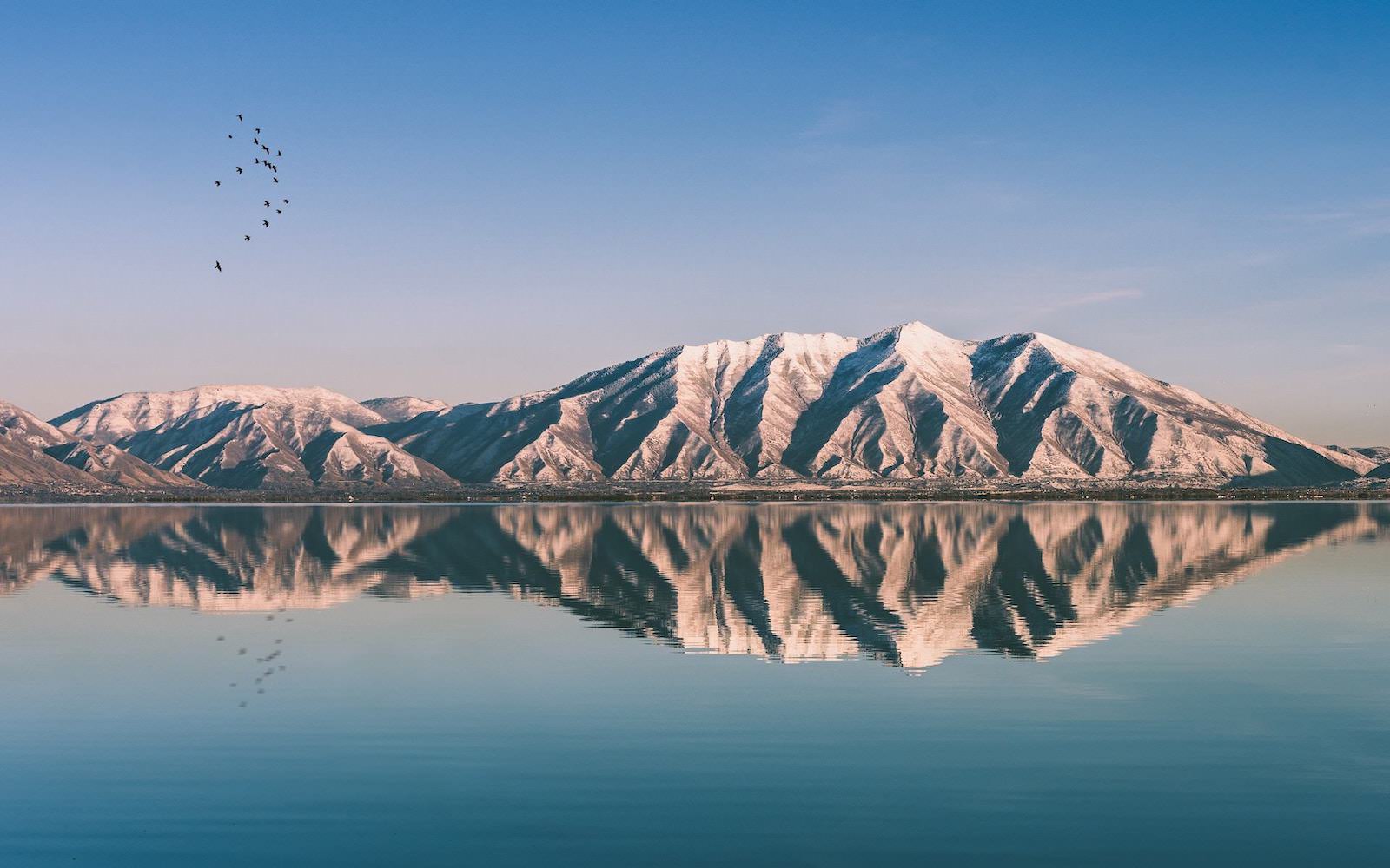 A photo of the Wasatch Range's mirror reflection on Utah Lake with a flock of birds in the clear sky above